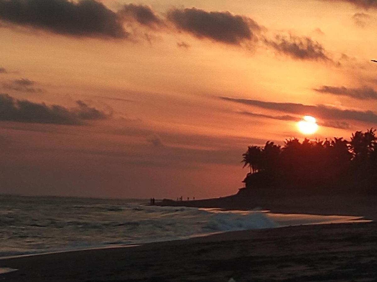 Honey Home Stay Canggu Exteriör bild
